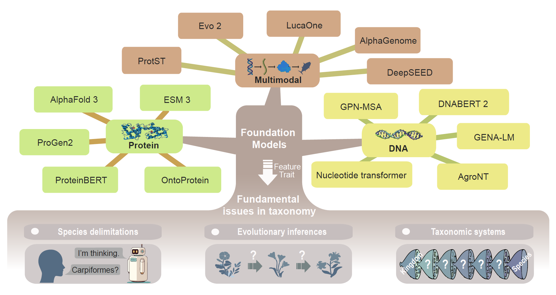 4001百老汇净水发表综述文章探讨AI驱动的生物分类学
